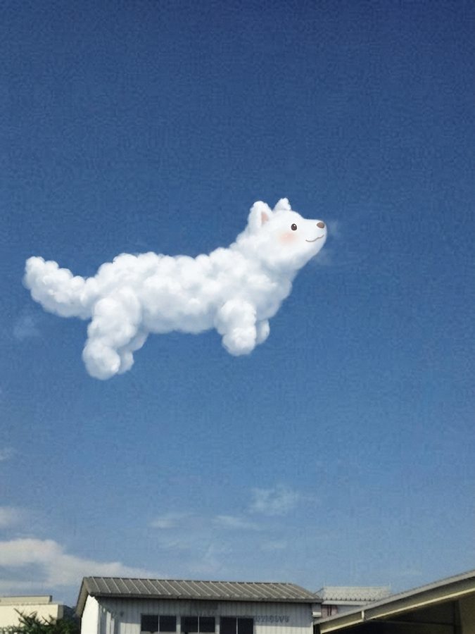 雲が犬になった作品(実写背景)
